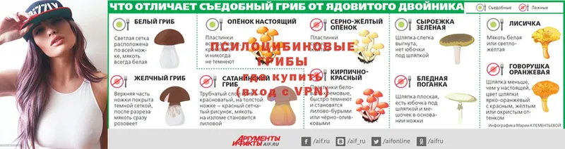 Псилоцибиновые грибы мицелий  где продают   Бежецк 